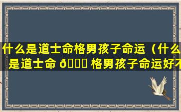 什么是道士命格男孩子命运（什么是道士命 🍀 格男孩子命运好不 🦄 好）